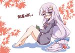  bespectacled blue_eyes book crescent crescent_hair_ornament dress glasses hair_ornament hair_ribbon hood hoodie leaf long_hair looking_at_viewer maple_leaf neko_yume no_hat no_headwear patchouli_knowledge purple_hair ribbon sitting solo sweater sweater_dress touhou 