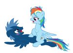  blue_eyes blush equine female friendship_is_magic horse male my_little_pony mysterious_mew open_mouth pink_eyes pony rainbow_dash_(mlp) sex star_hunter_(mlp) straight wing_boner wings 
