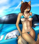  bikini blue_eyes bra_lift breasts brown_hair canine car clothed clothing female fur hair hair_over_eye headlights leaning mammal navel nipples nude outside skimpy solo swimsuit tan_fur toxictoby 