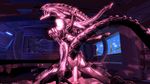  alien_(franchise) ambiguous_gender animated doge_(artist) human male mammal mass_effect open_mouth penetration penis raised_tail xenomorph 