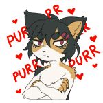 2025 accessory alpha_channel anthro calico_cat claws crossed_arms digital_media_(artwork) domestic_cat felid feline felis finger_claws flat_colors fur hair hair_accessory hairclip heart_symbol hi_res kemono looking_at_viewer male male_anthro mammal purring reaction_image simple_background solo teppuko text transparent_background