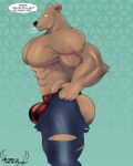 abs absurd_res annoyed anthro artist_logo artist_name barazoku bear beastars big_bulge big_butt big_muscles big_pecs bottomwear breath brown_body brown_fur bubble_butt bulge butt clothed clothing colored denim denim_bottomwear denim_clothing dialogue english_text fingers fur hi_res humanoid_hands jeans jockstrap logo male mammal meme muscular muscular_anthro muscular_arms muscular_male pants pattern_background pecs portrait pulling_up_pants riz_(beastars) shaded side_view simple_background solo speech_bubble standing talking_to_self terrethemageslayer text three-quarter_portrait tight_pants_(meme) topless topless_anthro topless_male torn_bottomwear torn_clothing torn_pants underwear vein veiny_muscles