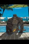  abs biceps big_muscles bulge canine claws dog fur grey_fur male muscles outside pecs pool pose solo speedo swimsuit tagme toe_claws unknown_artist water 