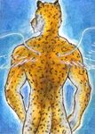  back back_turned blue_background butt cheetah dragoncrescent feline male mammal nude plain_background solo standing whiskers wings 