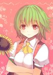  ascot breasts crossed_arms culter flower green_hair kazami_yuuka looking_at_viewer medium_breasts open_clothes open_vest pink_eyes puffy_sleeves shirt short_sleeves smile solo sunflower touhou upper_body vest 
