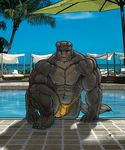  anthro beach_umbrella biceps big_muscles bigtiger bulge canine claws dog fur grey_fur male mammal muscles nipples outside pecs pool pose solo speedo spiral swimsuit tile toe_claws toned topless water 