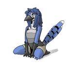  avian barefoot beak bird blue_eyes blue_jay camisole clothing feathers rml robin_(rml) shorts sitting solo 