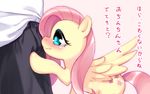  &#28961;&#32299;&#21106;&#33145;&#20024; ????? cutie_mark equine female feral fluttershy_(mlp) friendship_is_magic horse human japanese_text mammal my_little_pony pants pegasus pony shirt simple_background smile text translated wings 