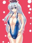  breasts cleavage collarbone easily grey_hair hat huge_breasts kamishirasawa_keine large_breasts long_hair midriff navel one-piece_swimsuit smile solo swimsuit touhou 