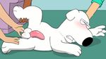  anal_penetration balls blush brian_griffin canine dog edit family_guy fingering fur invalid_color lois_griffin male mammal nepp nepp_(artist) penetration penis sofa white_fur 