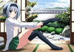  black_legwear blush dress_shirt dressing green_eyes hairband konpaku_youmu konpaku_youmu_(ghost) leg_up looking_at_viewer minigirl multiple_girls navel no_bra nori_tamago open_clothes open_shirt outstretched_leg shirt short_hair silver_hair sitting smile tatami thighhighs thighhighs_pull touhou 