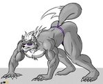  5_fingers abs all_fours anthro ass_up back biceps big_muscles black_nose butt canine chest_tuft claws fur grey_body grey_fur hair long_hair male mammal muscles nintendo pecs pose purple_eyes rath-raholand solo star_fox tail_clothing teeth thong toe_claws toned topless tuft vein video_games white_fur white_hair wolf wolf_o&#039;donnell wolf_o'donnell 