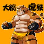  biceps bulge feline gloves male mammal shiba-kenta solo speedo swimsuit tiger wrestler 
