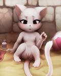  against_wall anus ball beach beach_ball blush brown_eyes charle clitoris clothed clothing darkmirage domestic_cat exceed fairy_tail felid feline felis female food footwear fruit fur lotion mammal nipples nude pussy sand seaside sex_toy shoes vibrator white_fur 