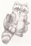  balls coonpoof lying male mammal masturbation on_back one_eye_closed penis raccoon sketch spread_legs spreading tongue tongue_out 