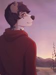  brown_eyes brown_hair canine dog hair hoodie jesse looking_at_viewer male metz pose solo sunrise 