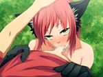 anthro blush bottomless breasts cat_ears catgirl censored faceless_male female first_person_view green_eyes hair hatsuen_kikan human human_on_anthro interspecies male mammal nude oral oral_sex penis red_hair sex straight young 