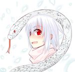  adyisu altair_floone open_mouth original simple_background smile snake solo upper_body white_background 
