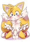  blush canine cub cum dagasi fox humanoid_penis male mammal masturbation miles_prower orgasm penis sega solo sonic_(series) young 