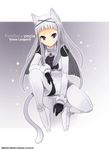  2009 animal_ears bodysuit cat_ears cat_tail long_hair original sango_(53box) silver_(color) silver_eyes silver_hair solo tail thighhighs 