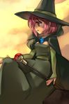  cape detached_sleeves dragon_quest dragon_quest_iii dress hat inuinui mage_(dq3) pink_hair red_eyes short_hair solo staff witch witch_hat 
