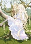  1girl :o absurdres ahoge animal barefoot bird blonde_hair commentary_request dappled_sunlight day dress feet_out_of_frame forest frilled_skirt frills grass grey_eyes highres huge_ahoge leg_up light_particles long_hair looking_at_viewer nature nekory on_tree open_mouth original outdoors owl parted_bangs perched puffy_sleeves signature skirt solo sunlight tree tree_shade very_long_hair white_dress 