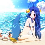  animal_ears arm_support beach bikini blue_hair blush breasts day gen_1_pokemon gen_2_pokemon krabby lanturn long_hair medium_breasts ocean outdoors personification pokemon pokemon_(creature) red_eyes seaside shiratsuki sitting smile swimsuit tail very_long_hair wariza water 