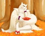  alcohol anthro autumn beads beverage canine chest_tuft clothed clothing digitigrade forest fox fur gingitsune gintaro grin japanese_clothing jewelry kimono leaves looking_at_viewer male mammal outside regit sake sandals scar solo tree tuft white_fur 