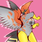  5_fingers anthro anthrofied avian beak big big_nipples bird black_fur breasts claws feathers female fur grey_eyes grey_fur looking_back looking_down nintendo nipples non-mammal_breasts nude nut-case orange_fur pok&#233;mon pok&eacute;mon pussy raised_arm red_fur solo standing talonflame video_games wings yellow_fur 