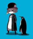  ascot beak bird blue_background bob_cut boots brown_hair coat hands_in_pockets hat ken_(koala) long_sleeves looking_at_viewer open_clothes open_coat original pants parachute_pants penguin penguin_(koala) red_eyes short_hair striped_sleeves 