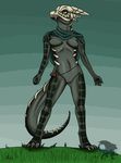  anthro breasts cape claws digitigrade female grass myst nipples nude outside pussy reptile scalie skull solo standing toes wyldfire7 
