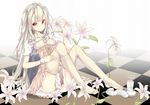  blush breasts cameltoe flower long_hair looking_at_viewer original panties red_eyes shirohina small_breasts smile solo underwear white_hair 