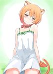  animal_ears bad_id bad_pixiv_id bare_shoulders bell bell_collar blush cat_ears cat_paws cat_tail collar cowboy_shot dress green_eyes head_tilt highres hoshizora_rin looking_at_viewer love_live! love_live!_school_idol_project nyoijizai orange_hair paws short_hair simple_background smile spaghetti_strap sundress tail 