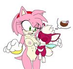  (colored_by)_kiyoshifox amy_rose breastfeeding chip coconut hedgehog leatherruffian sega sonic_(series) 