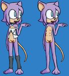  breasts buckteeth clothed clothing collar female half-dressed leg_warmer legwear mammal miley_mouse model_sheet mouse multi_breast multi_nipple nipples partial_exposure pixellexi pussy rodent sleeveless_shirt small_breasts 