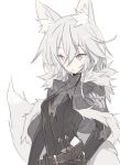  1girl animal_ear_fluff animal_ears blade_(galaxist) braid commentary_request eyebrows_visible_through_hair hair_between_eyes long_hair older pop-up_story rita_drake short_hair simple_background single_braid solo tail white_background wolf_ears wolf_girl wolf_tail yellow_eyes 