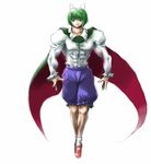  antennae cape green_eyes green_hair long_sleeves mary_janes muscle oyassan red_footwear shoes solo touhou wriggle_nightbug 