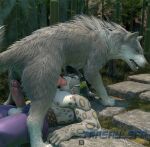 3d_(artwork) absurd_res animal_genitalia animal_penis anthro anthro_on_feral anthro_penetrated balls bestiality big_balls big_penis blender_(artwork) bodily_fluids butt canid canine canine_genitalia canine_penis canis digital_media_(artwork) dreamworks duo erection felid feline fellatio feral feral_penetrating feral_penetrating_anthro final_fantasy_xvi fur genital_fluids genitals hair hi_res interspecies kung_fu_panda male male/male male_on_feral male_penetrated male_penetrating male_penetrating_male mammal maned_wolf markings muscular muscular_male nipples oral oral_penetration outside pantherine penetration penile penis penis_in_mouth precum sex shrine size_difference snow_leopard spots tai_lung_(kung_fu_panda) tail tongue torgal_(final_fantasy_xvi) trashy_sfm widescreen wolf