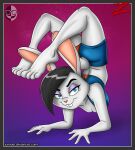 absurd_res anthro artist_logo black_hair blaice blue_bottomwear blue_bra blue_clothing blue_shorts blue_underwear bottomwear bra breasts buckteeth closed_smile clothed clothing digital_drawing_(artwork) digital_media_(artwork) feet female flexible full-length_portrait fur gradient_background grey_body grey_fur hair half-closed_eyes hi_res humanoid_feet humanoid_hands lagomorph leporid logo looking_at_viewer mammal midriff mouth_closed narrowed_eyes plantigrade portrait purple_eyelids rabbit scorpion_(position) shaded shorts simple_background smile soft_shading solo teeth three-quarter_view toony underwear upside_down xamoel yoga
