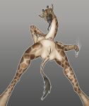 anthro anus breasts drug_usage female flexible genitals giraffe giraffid low-angle_view mammal medium_breasts nipples solo tiny_terrible tongue tongue_out vulva