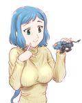  blue_hair green_eyes gundam gundam_build_fighters iori_rinko long_hair ponytail ribbed_sweater shield_liger simple_background smile solo sweater toy turtleneck ueyama_michirou white_background zoids 