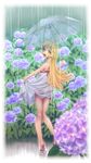  ass bai_linqin blonde_hair blush dress flower from_behind highres hydrangea long_hair long_legs looking_back monogatari_(series) oshino_shinobu pointy_ears ribbon sandals smile solo transparent transparent_umbrella umbrella wet wet_clothes yellow_eyes 