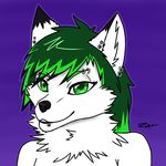  black_fur canine fox fur green_eyes green_hair hair looking_at_viewer mammal piercing plain_background purple_background smile solo white_fur zaigane 