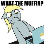  blonde_hair computer derpy_hooves_(mlp) english_text equine female feral food friendship_is_magic frown fur grey_fur hair horse laptop long_hair mammal muffin my_little_pony open_mouth pegasus plain_background pony solo text unknown_artist white_background wings yellow_eyes 