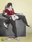  anthro balls border_collie bottomless canine claws clothing digitigrade dog heterochromia hindpaw hoodie looking_at_viewer male mammal pants pants_down paws penis playful sheath sitting solo toes yuniwolfsky 