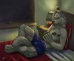  anthro bed biceps black_nose book boxers bulge canine dog eyewear fur glasses looking_at_viewer male mammal nipples pillow pose reading rrowdybeast solo underwear 