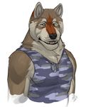  black_nose brown_eyes canine dog looking_at_viewer male mammal muscles pecs rrowdybeast soldier solo strong uniform 