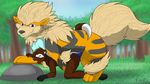  anthro anthro_on_feral arcanine bear bestiality big_tail body_markings canine feral from_behind fur gay hybrid interspecies kuroodod male mammal markings mustelid nintendo nude penetration penis pok&#233;mon pok&#233;philia pok&eacute;mon sex shallow_penetration shiny_pok&#233;mon size_difference suel video_games wolverine 