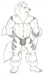  arcanine bulge canine haseodragon looking_at_viewer male mammal nintendo pok&#233;mon pok&eacute;mon pose solo video_games 