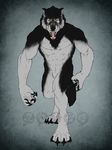  anthro biceps big_muscles black_claws black_fur black_nose black_pawpads canine chest_tuft claws fangs fur grey_fur looking_at_viewer male mammal muscles nude open_mouth pawpads paws pecs pose sheath solo standing strong teeth toe_claws tongue tuft were werewolf wolf yellow_eyes 